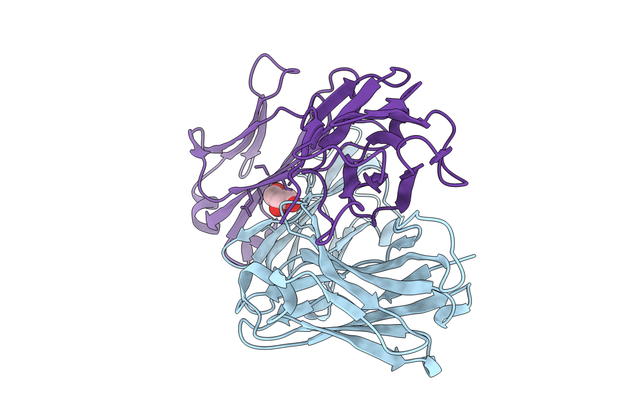 2YMX image