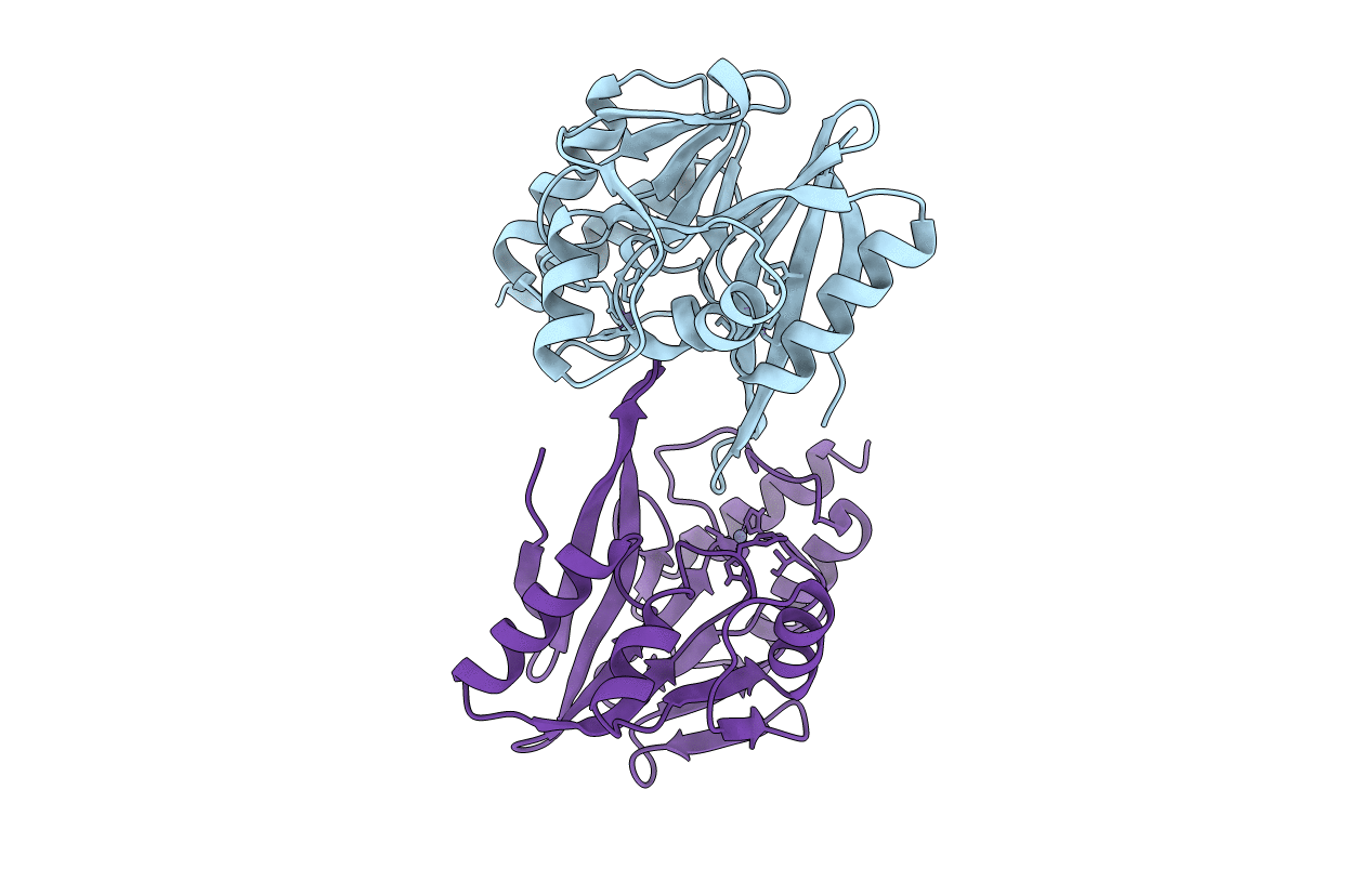 2YNV image
