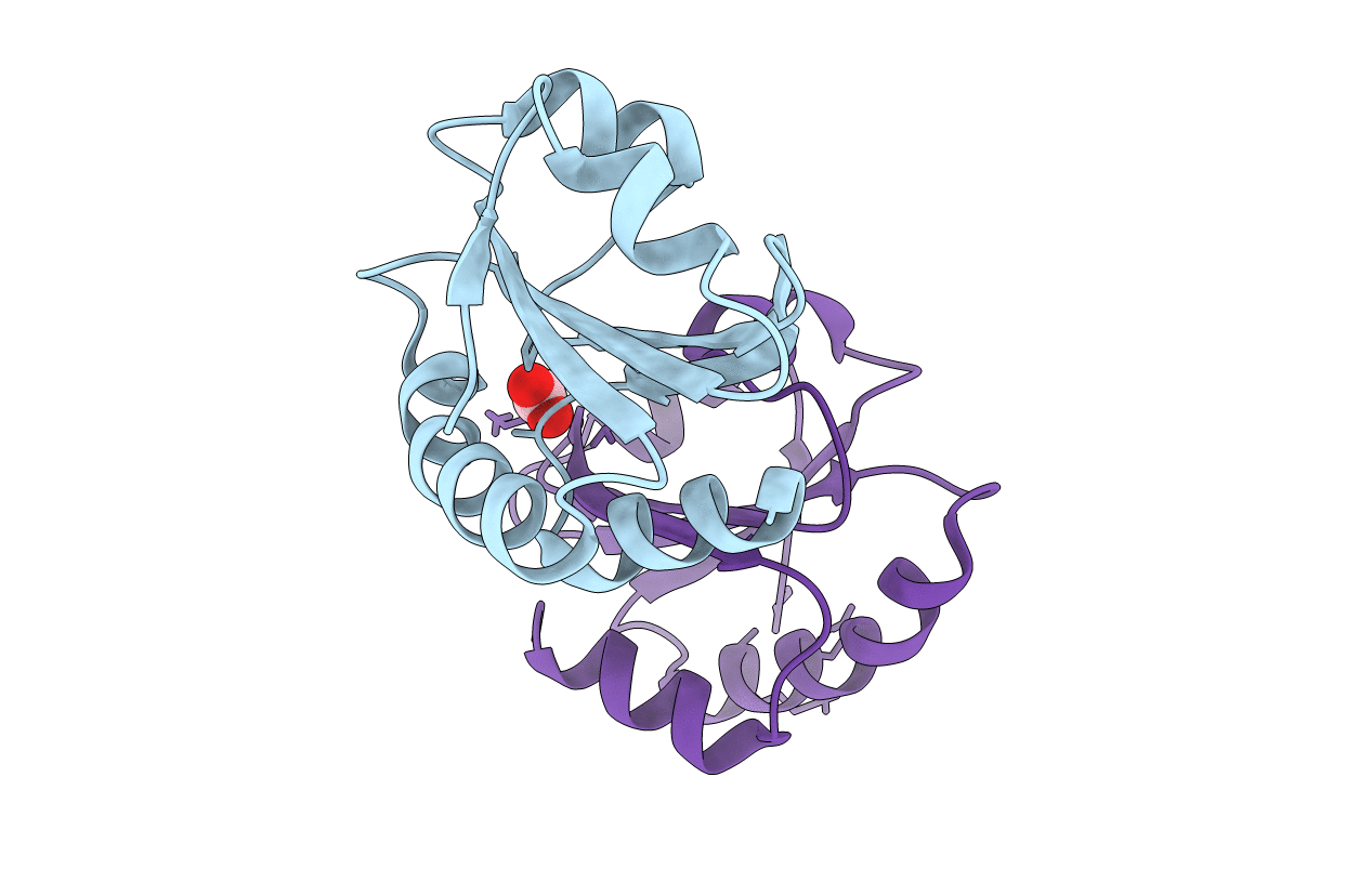 2YNX image