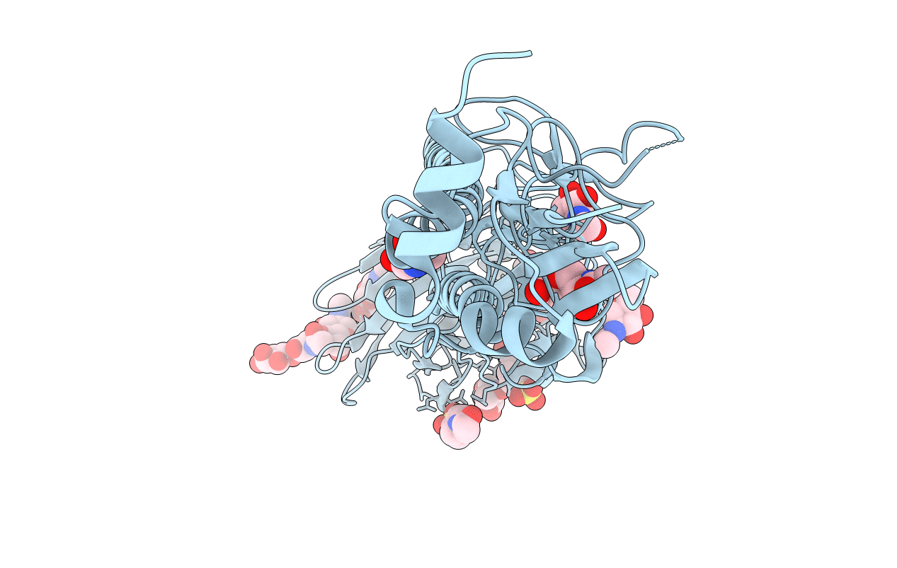 2YP4 image