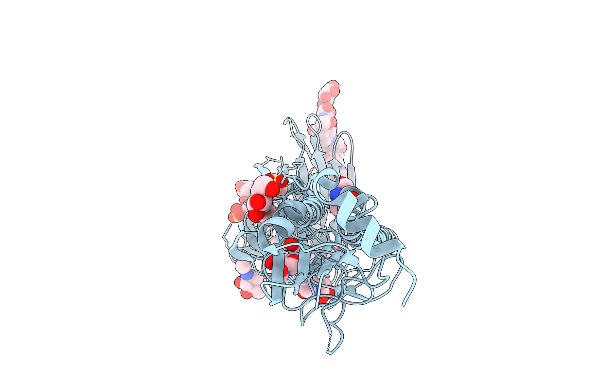 2YP5 image