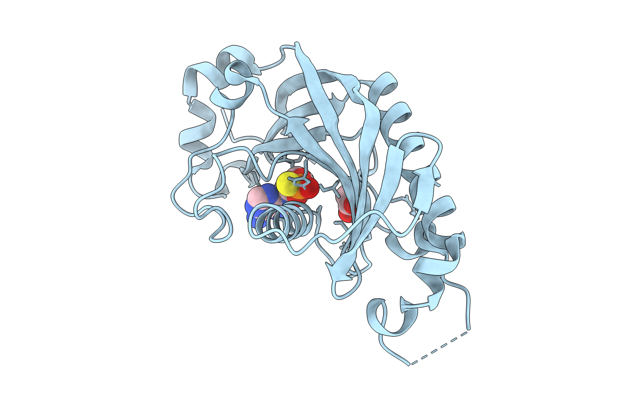 2YPH image