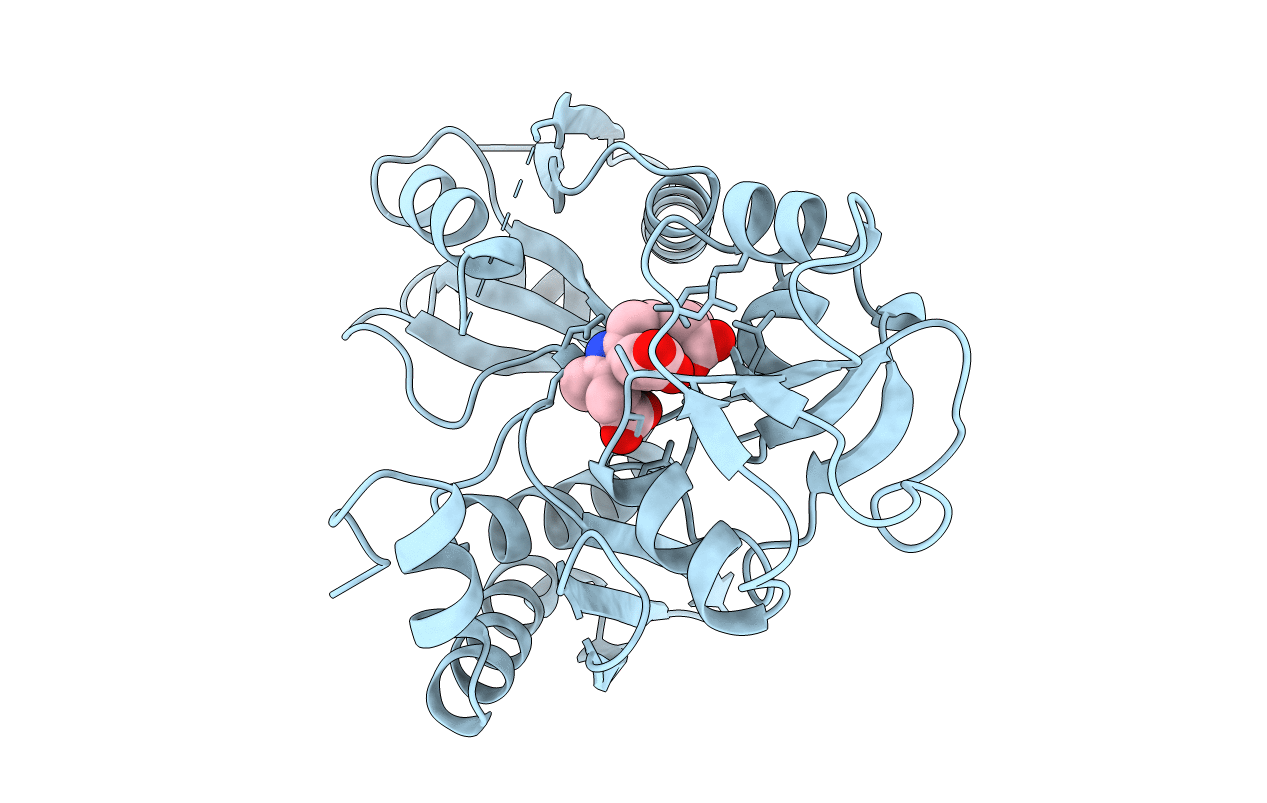 2YPN image