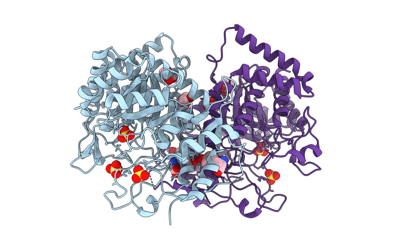 2YPP image