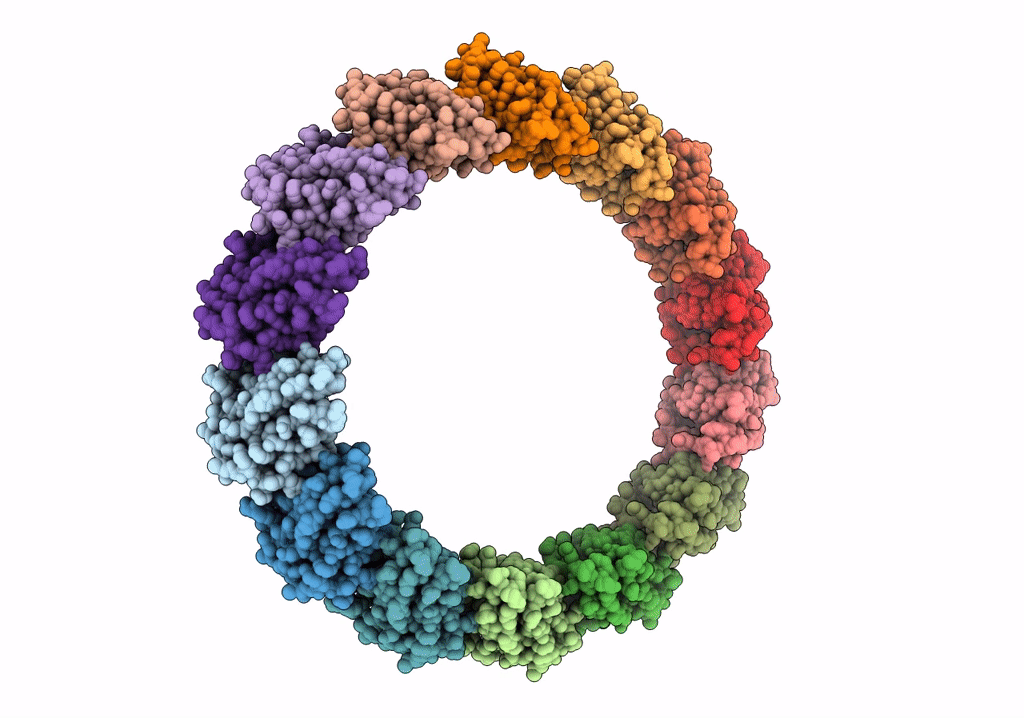 2YPW image