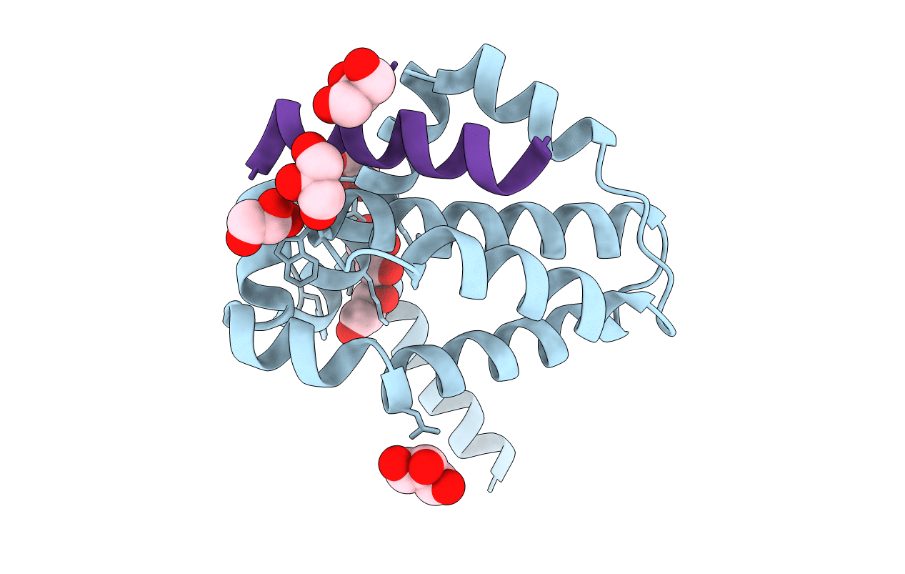 2YQ6 image