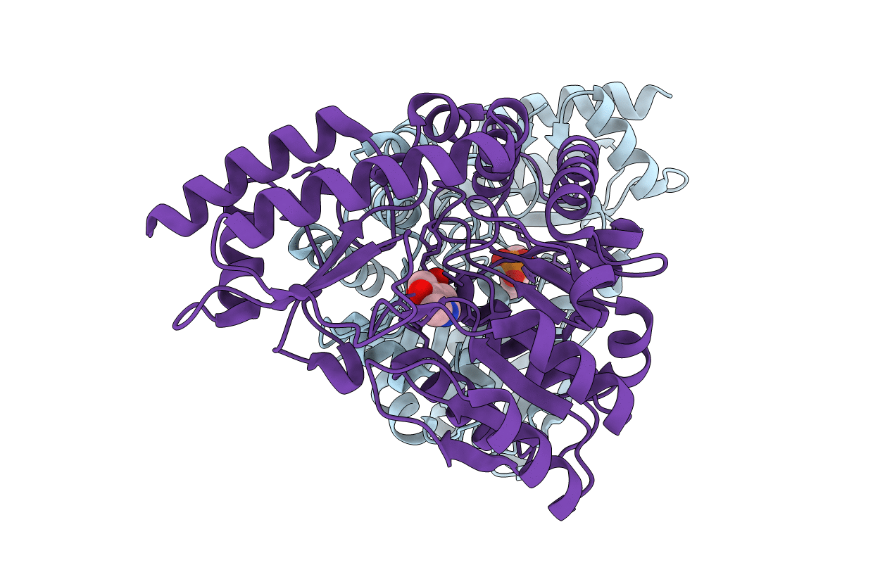 2YRR image
