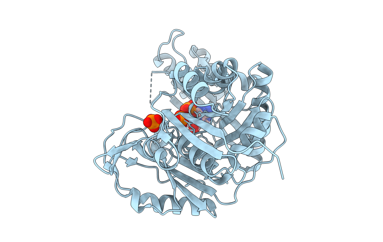 2YRX image