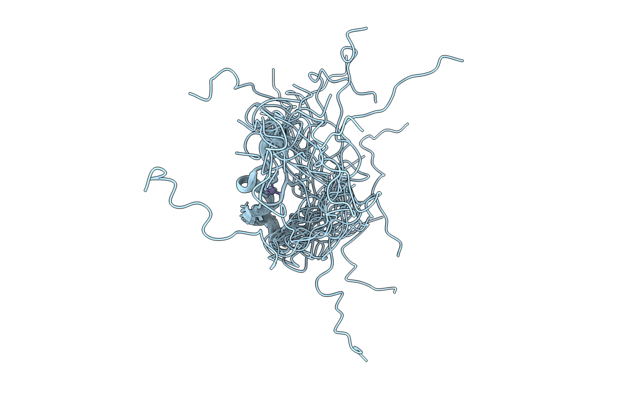 2YSA image
