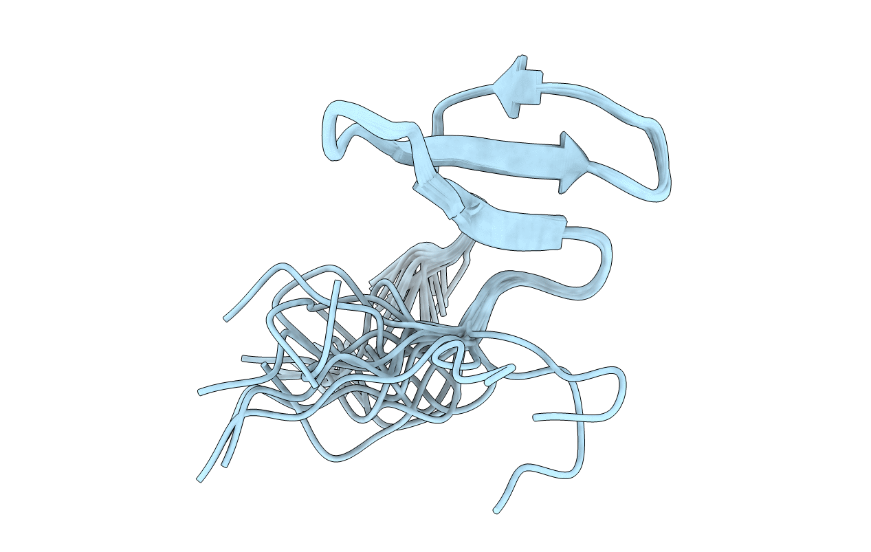 2YSG image