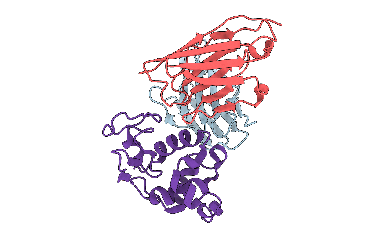 2YSS image