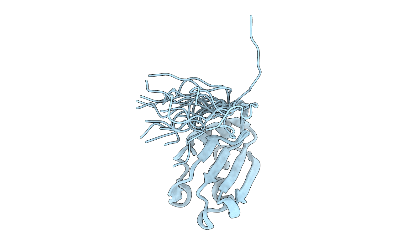 2YTC image