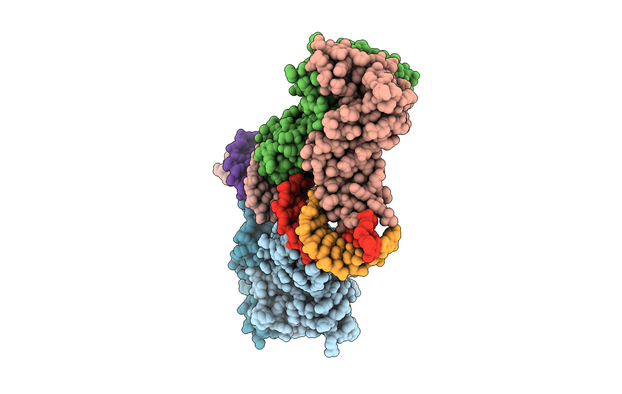 2yvh image