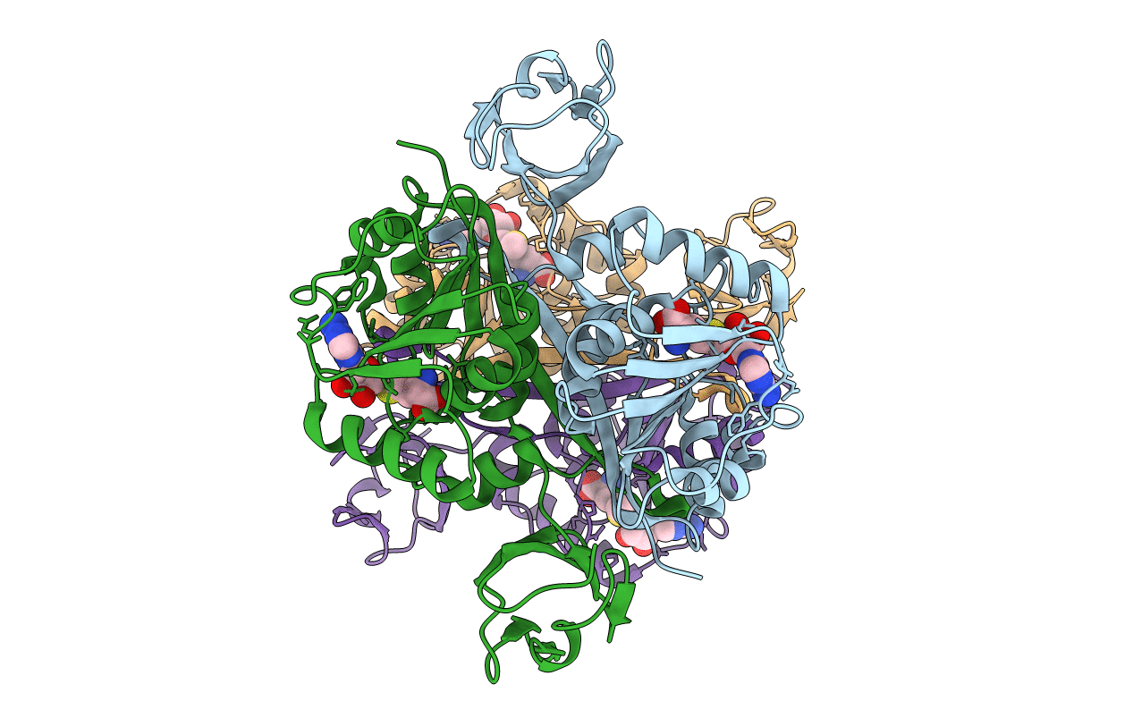 2YVL image