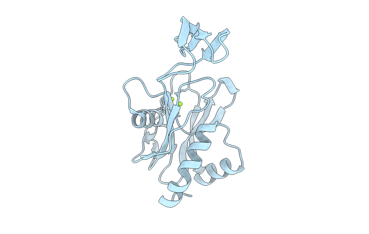 2YVM image