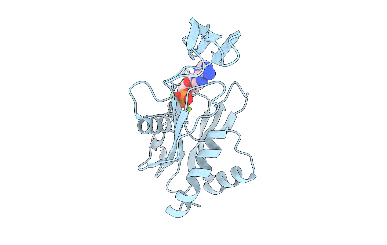 2YVO image