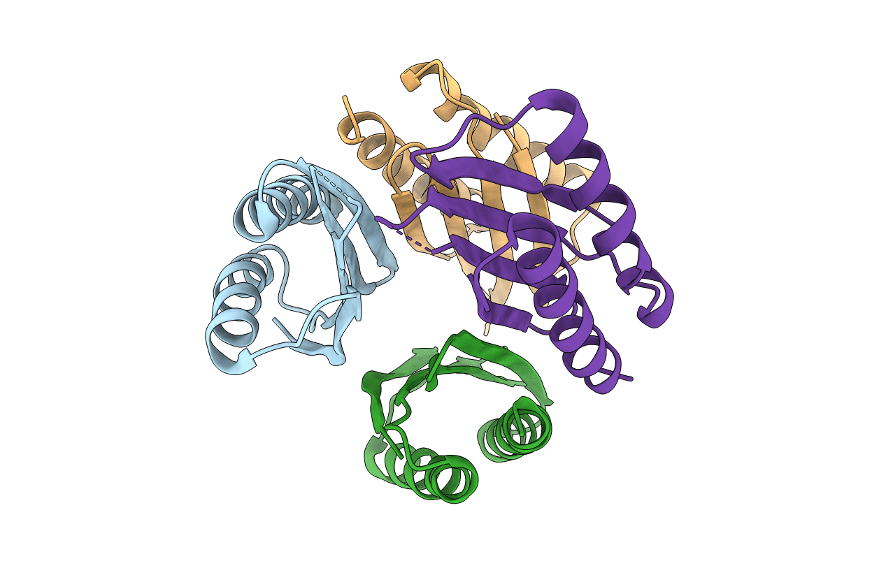 2YWQ image