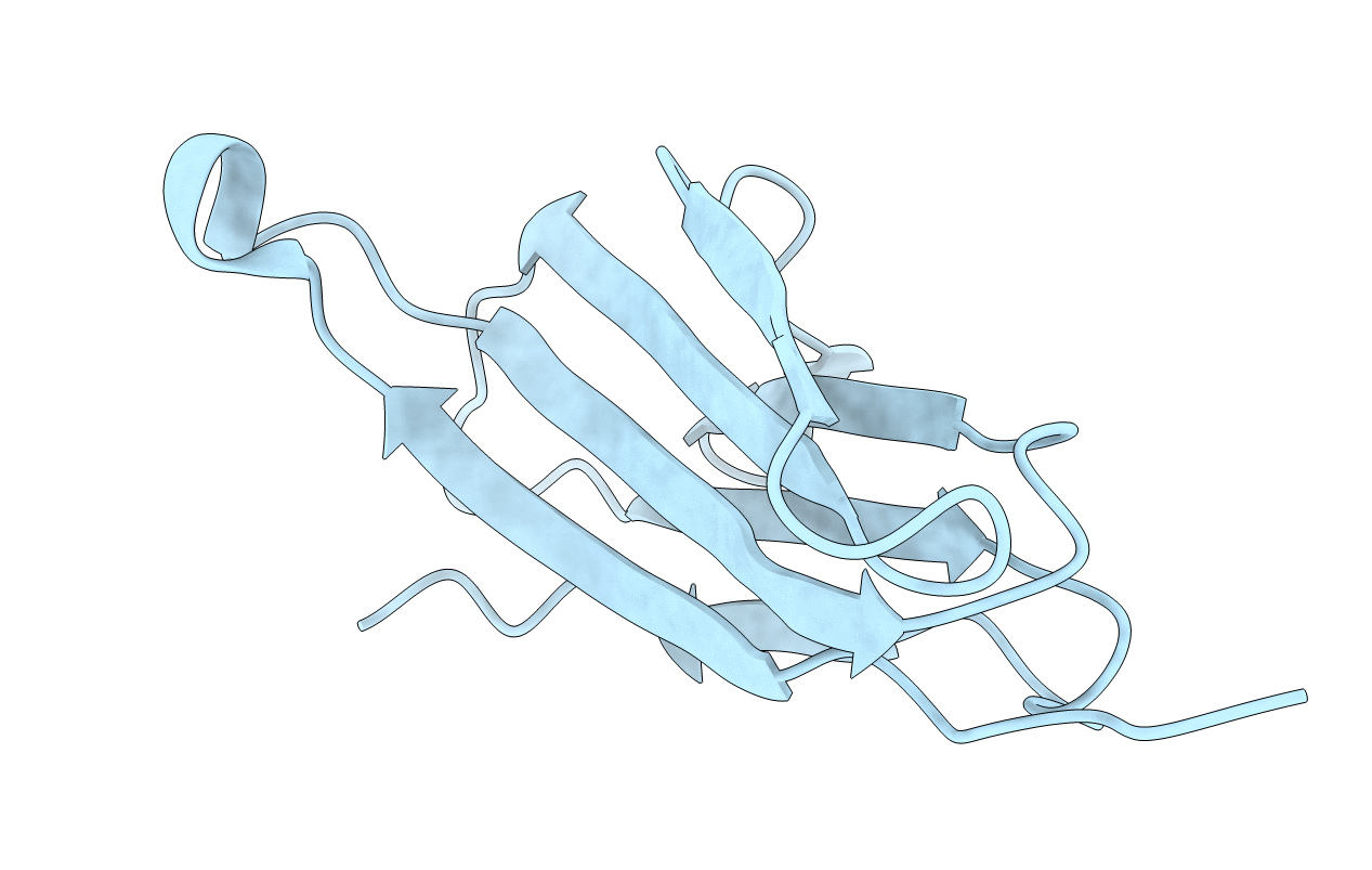 2YXF image