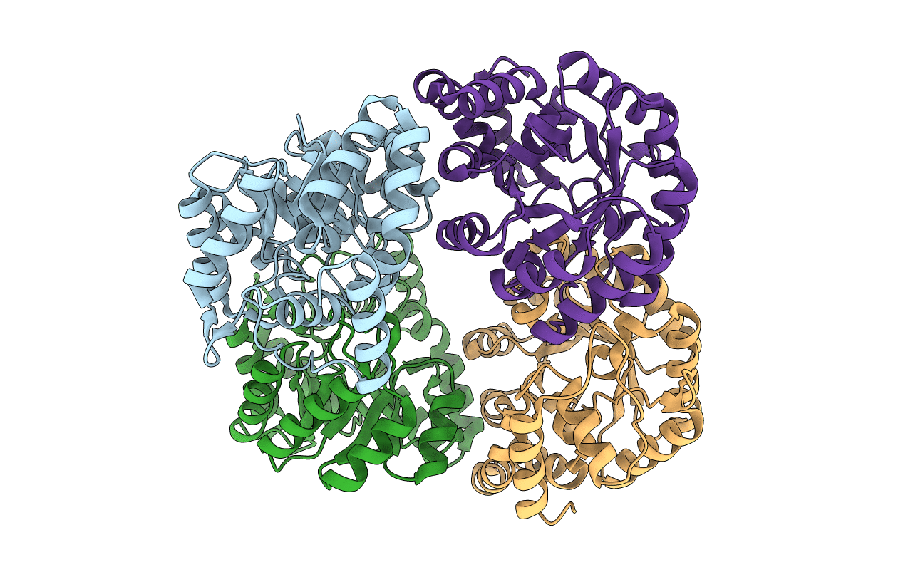2YXG image