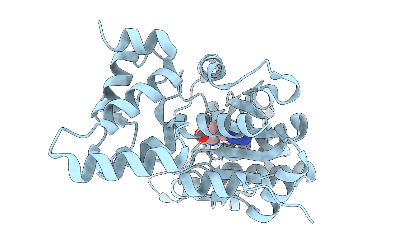 2YXN image