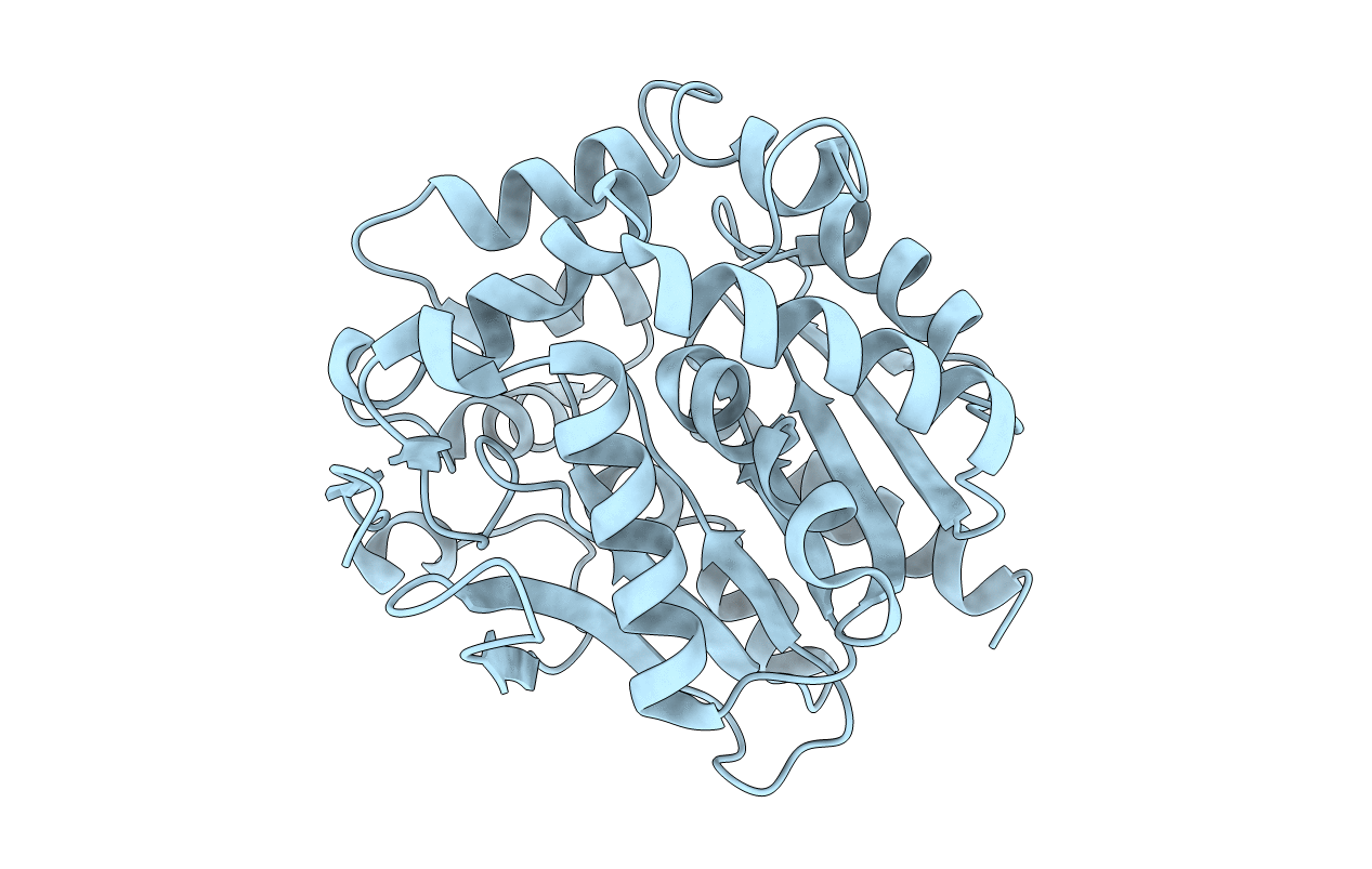 2YXP image