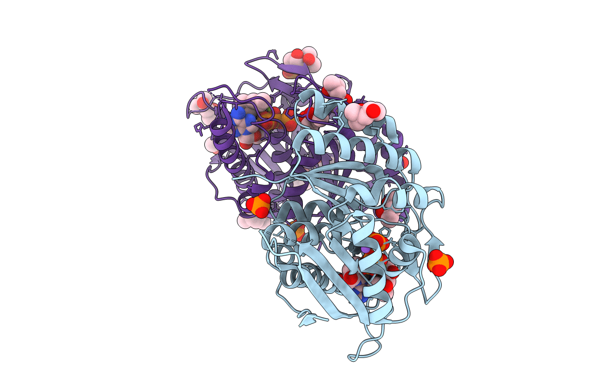 2YXU image