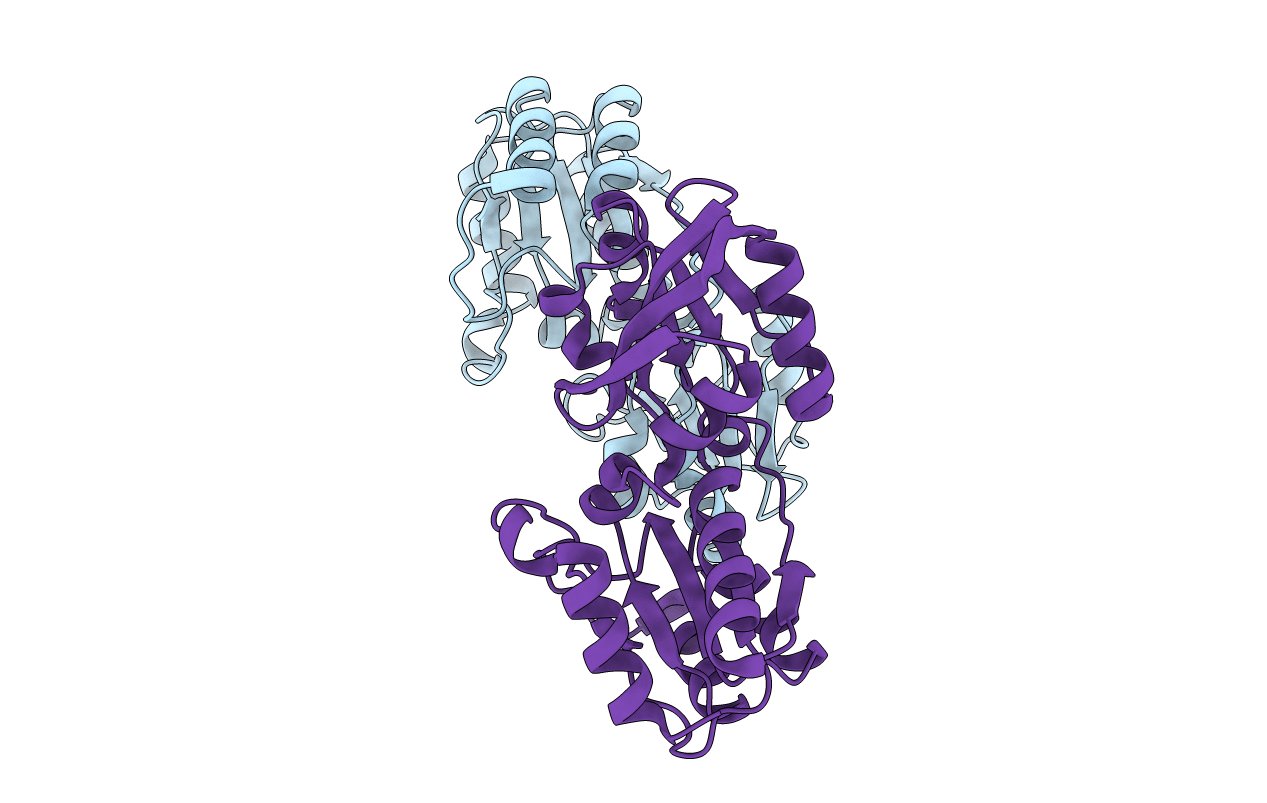 2YYB image