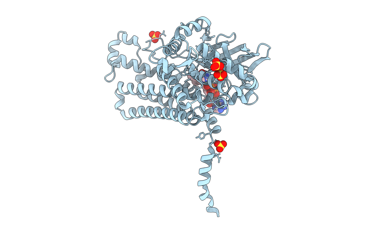 2YYI image