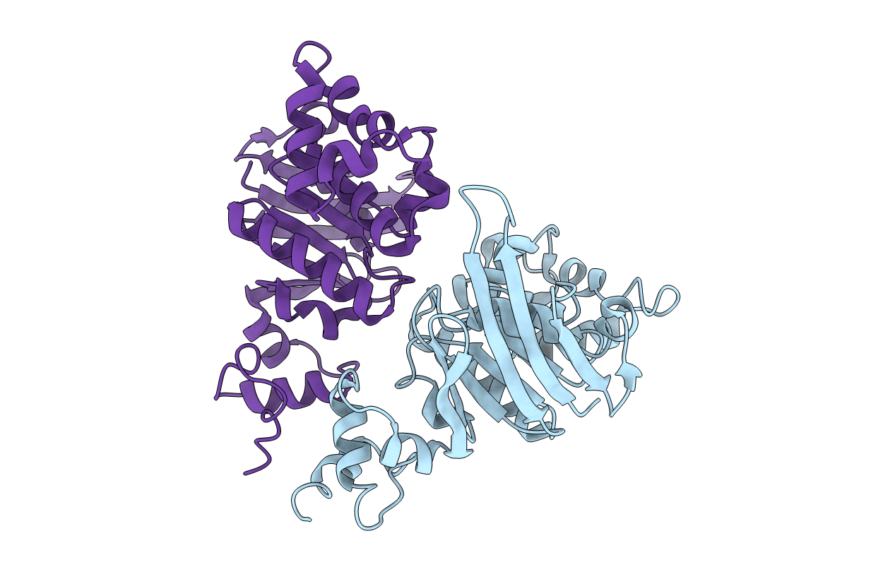 2YZ2 image