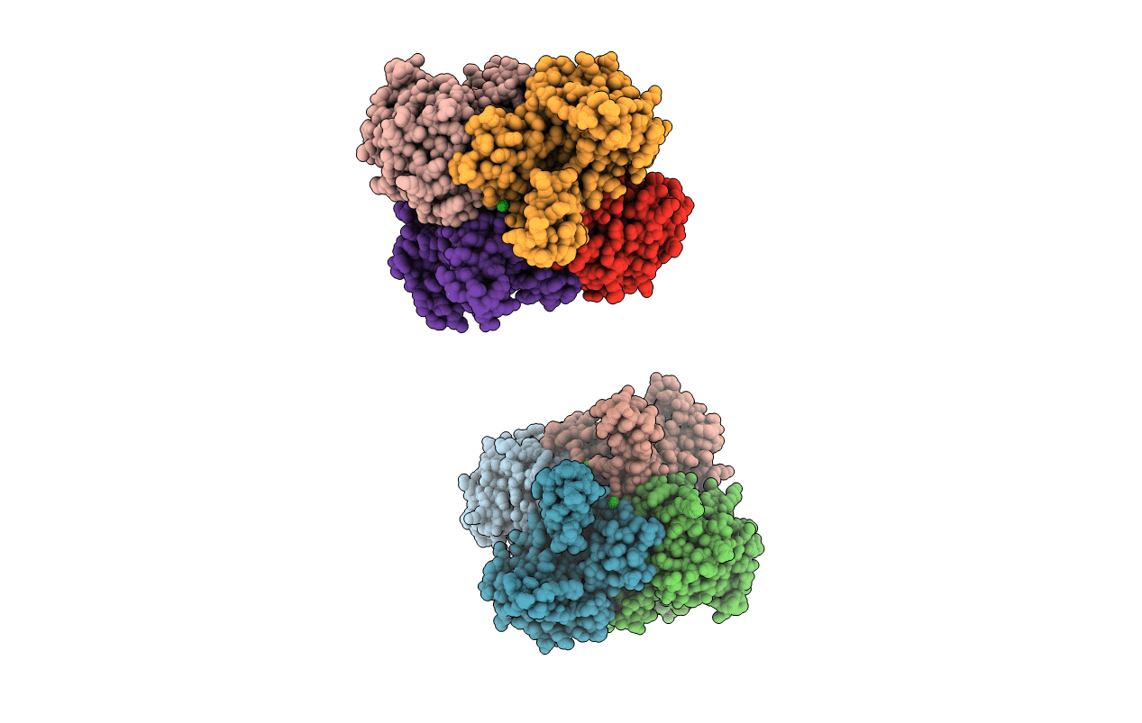 2YZ7 image