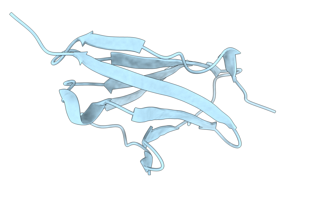 2YZ8 image