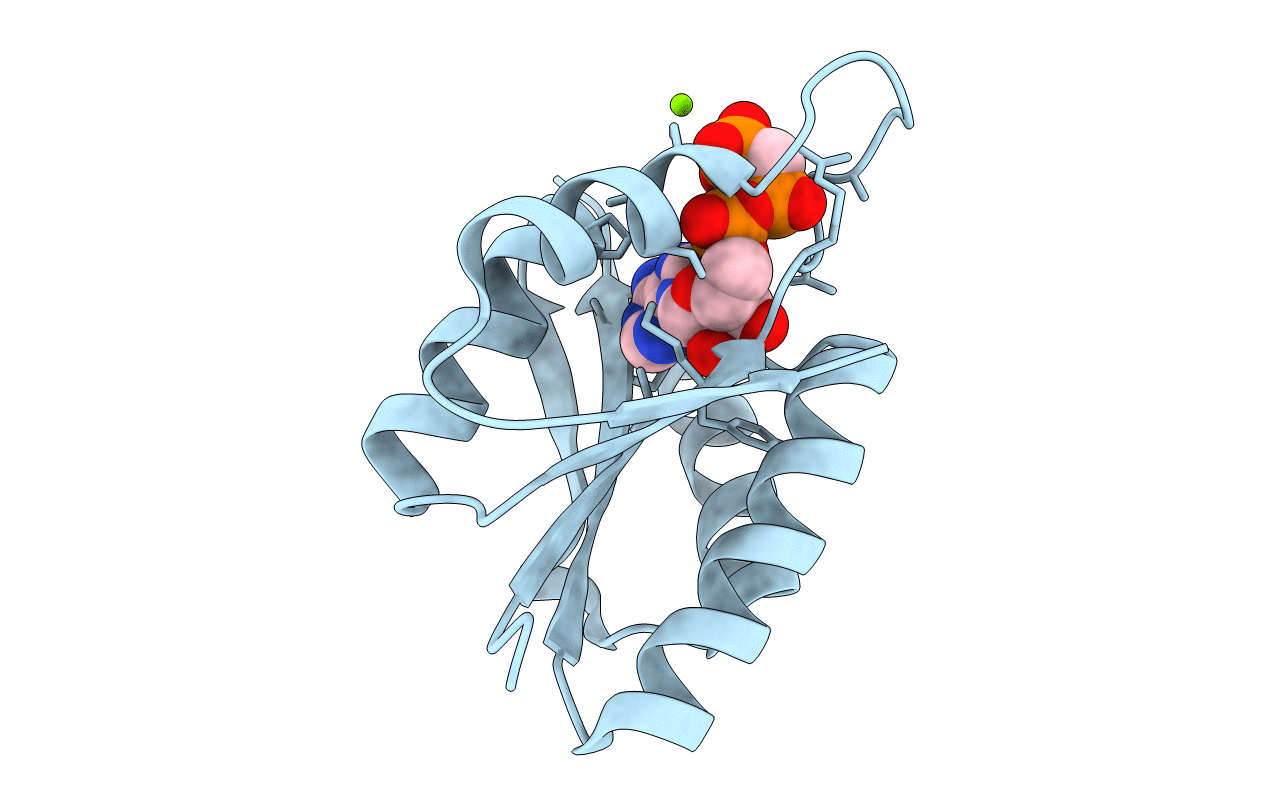 2Z09 image