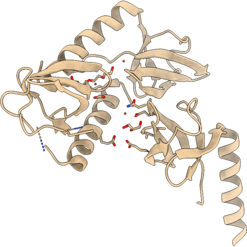 2Z1C image