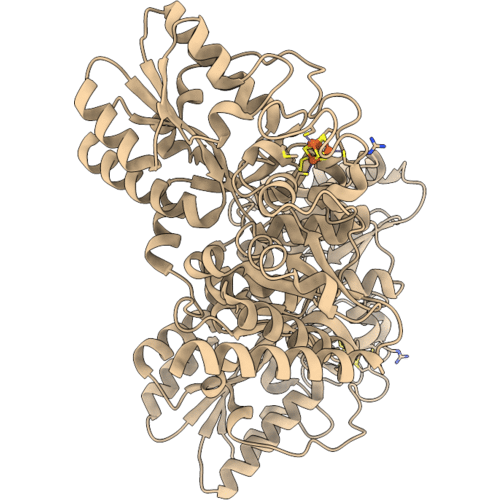 2Z1D image