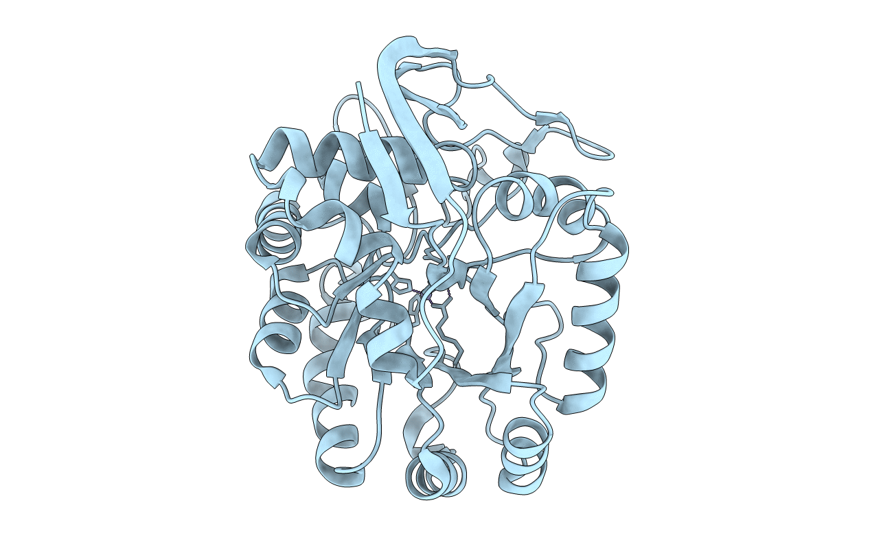 2Z2B image