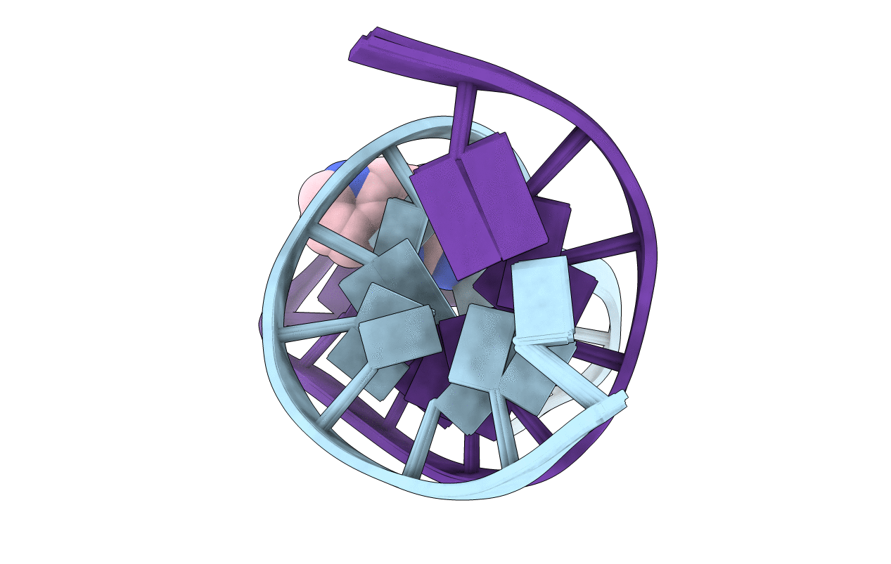 2Z2G image