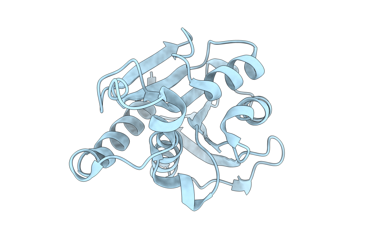 2Z2I image