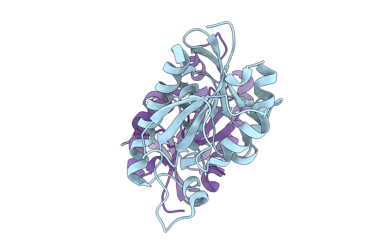 2Z2J image