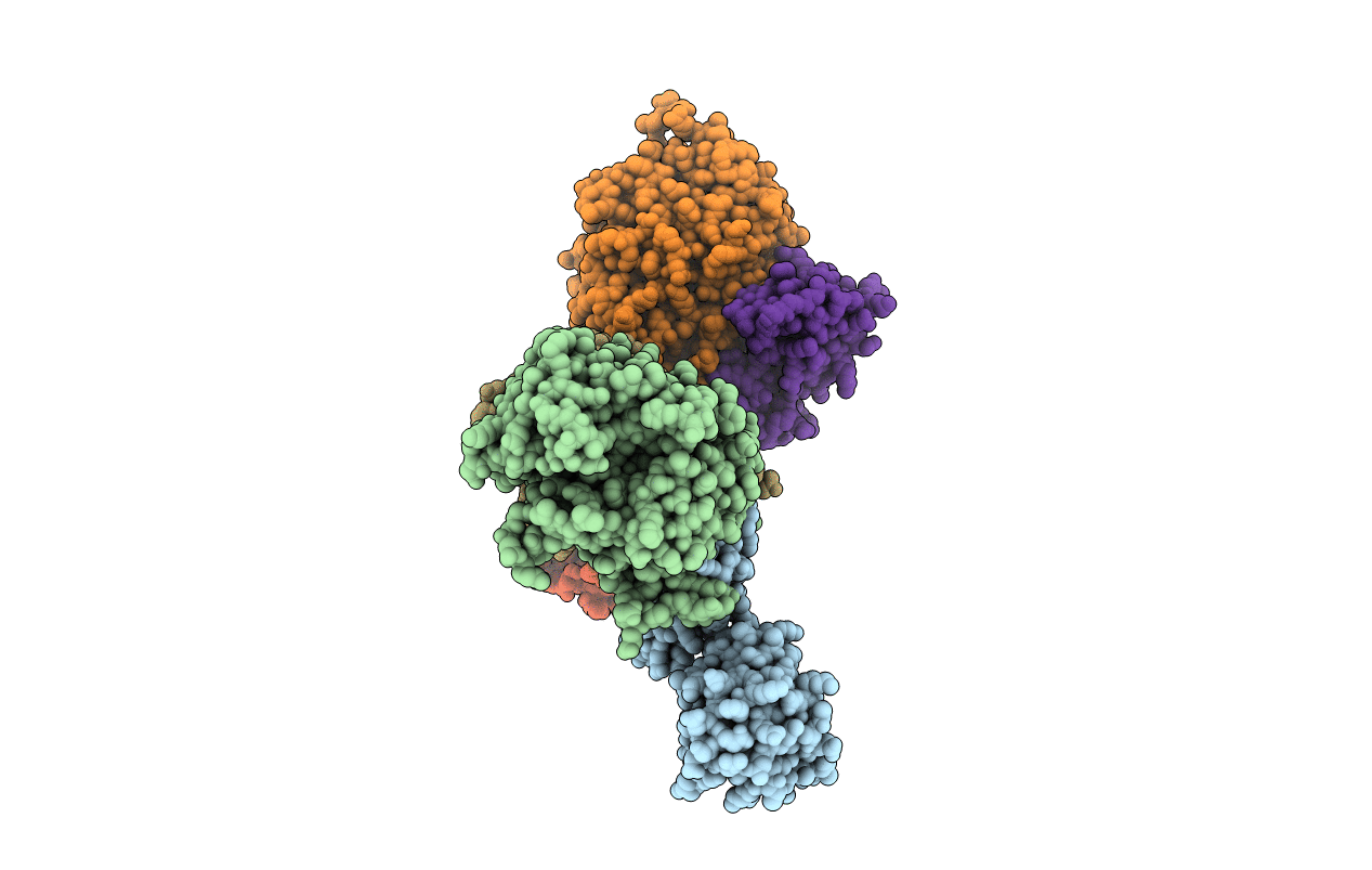 2Z2L image