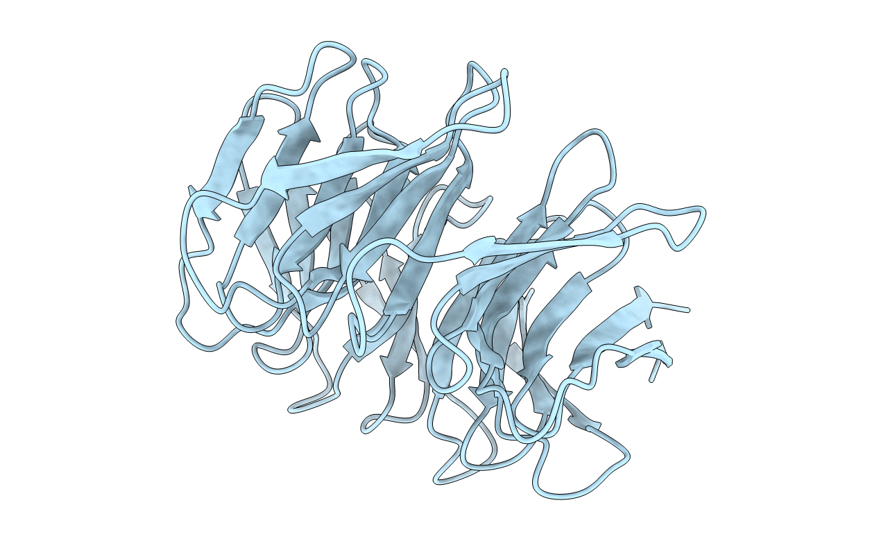 2Z2N image