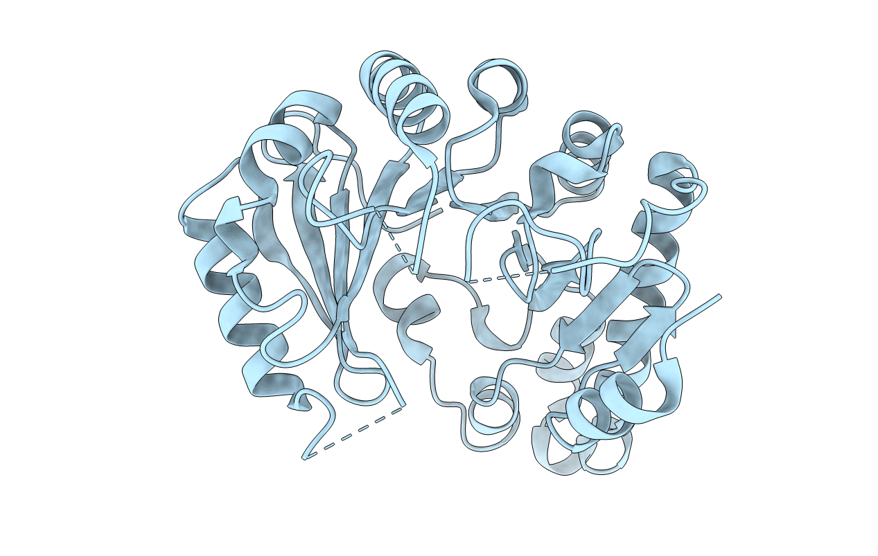 2Z2U image