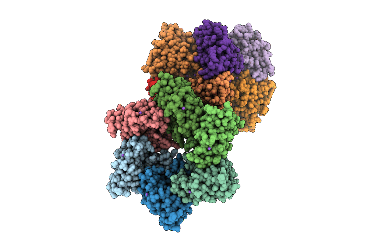 2Z3B image