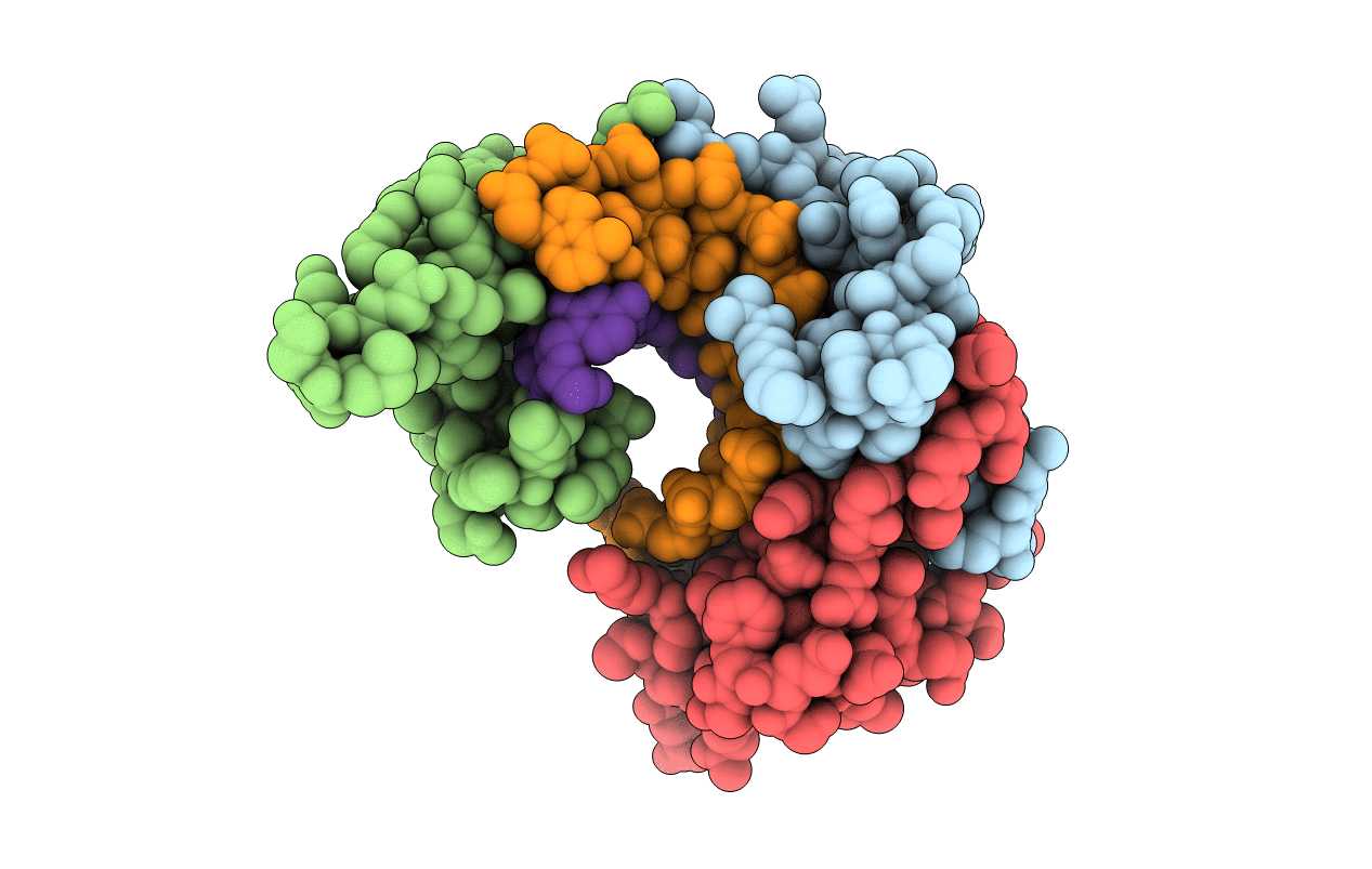 2Z3X image
