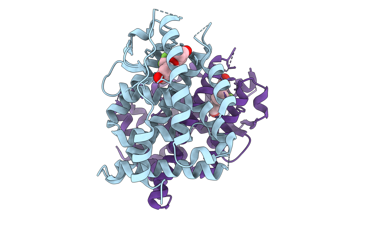 2Z4B image