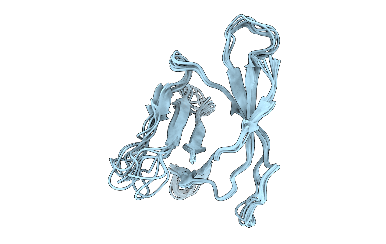2Z4D image