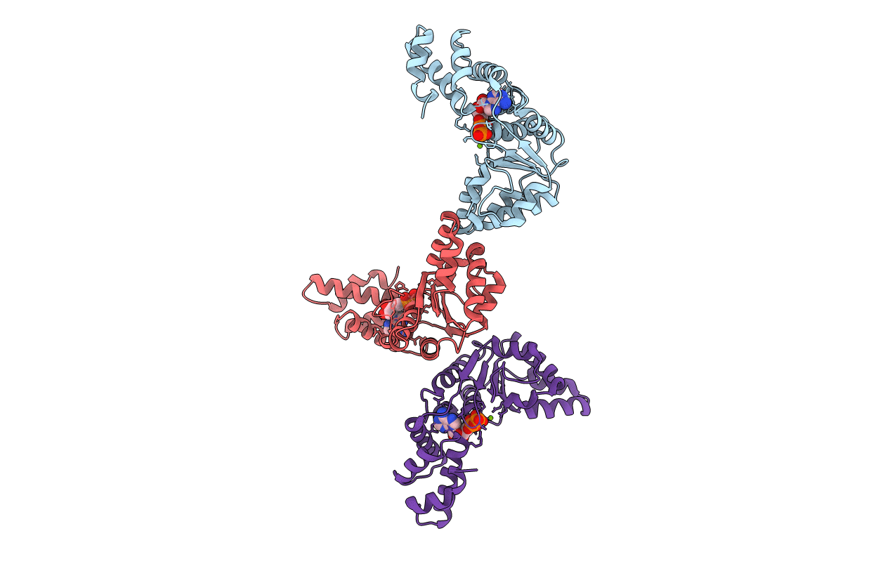 2Z4R image