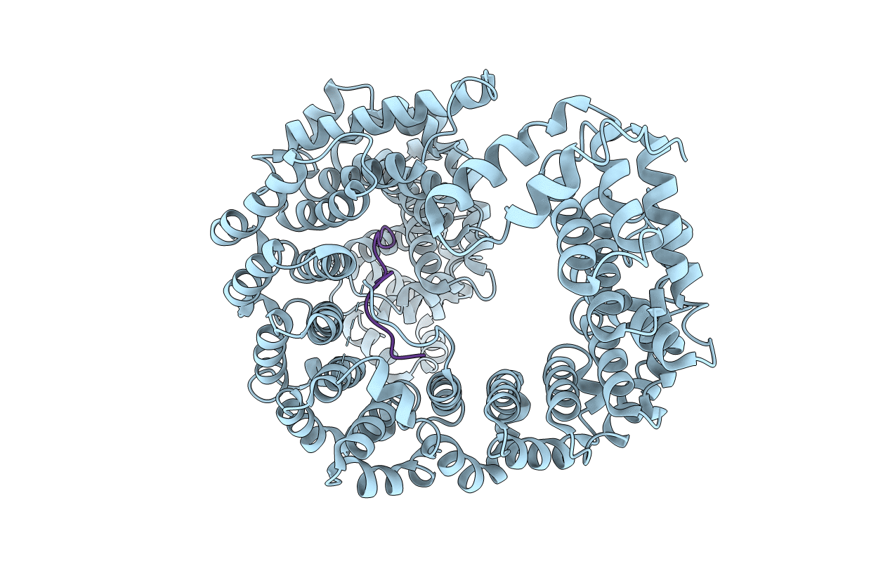 2Z5N image