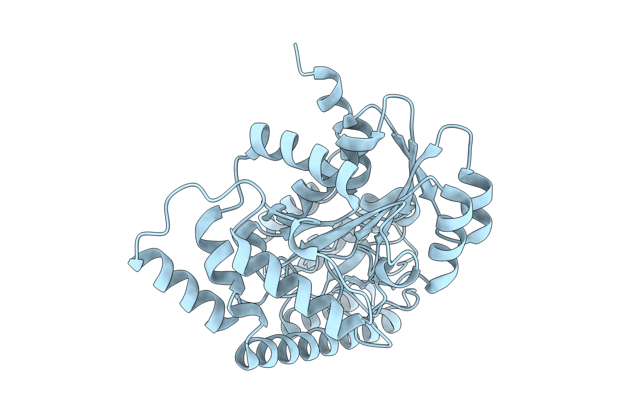 2Z61 image