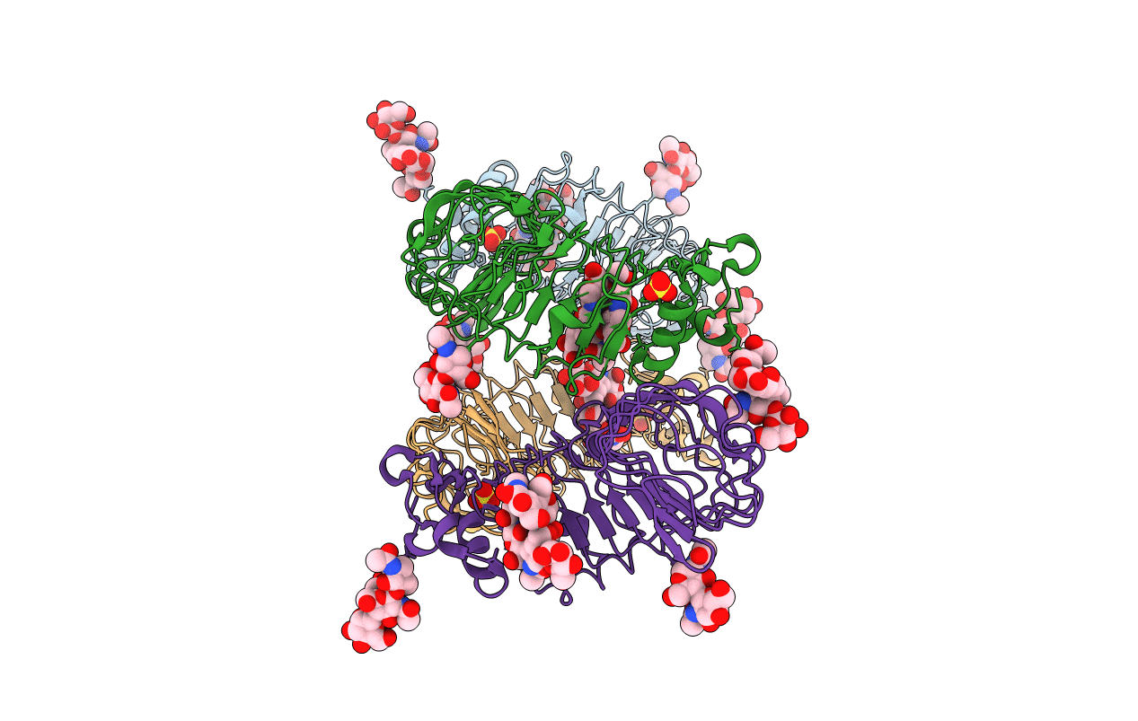 2Z66 image