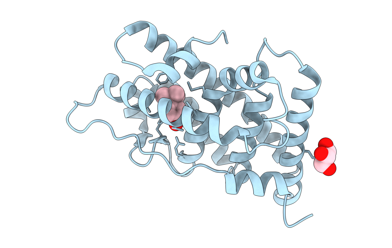 2zas image